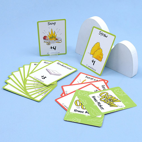 _Custom_flash_card__001__5_